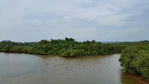 Goa Backwater - Download Goa Photos
